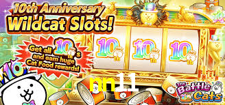 nn11 bet